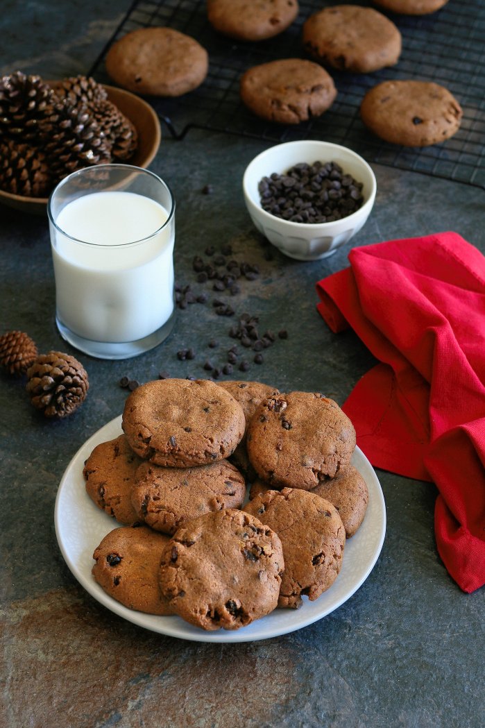 Chocolate chip cookie recipe with cinnamon. 
